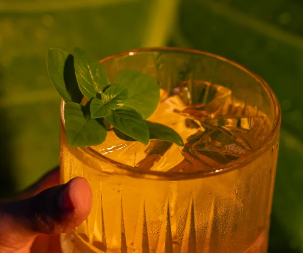 PRATOS E DRINKS JULHO 2026 29redimensionada